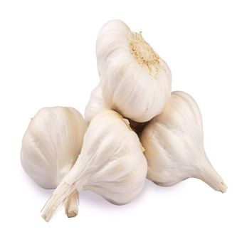 Garlic Mushroom-1x6Kg03